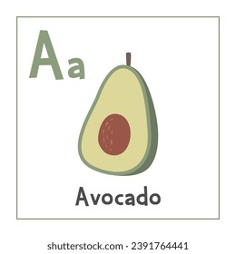 Avocado clipart. Avocado vector illustration cartoon flat style. Fruits start with letter A. Fruit alphabet card. Learning letter A card. Kids education. Cute avocado vector design
