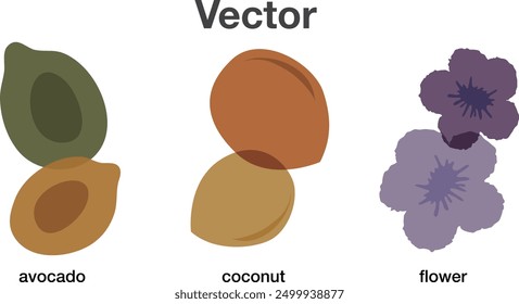 avocado coconut flower food fruit cartoon icon design element vector