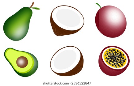 Vetor de abacate, coco, maracujá. Frutos isolados no branco. Ilustração de frutas saudáveis.