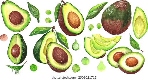 Avocado collection. All elements are painted with watercolors. You can make cards, wallpapers, patterns yourself