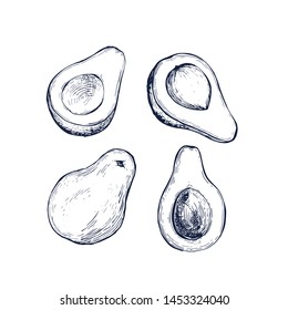 Avocado collection botanical hand drawn Isolated vector illustration. Organic vegetarian product. Avocado symbols set applicable for restaurant menu or packaging, label, poster, print. Engraving style