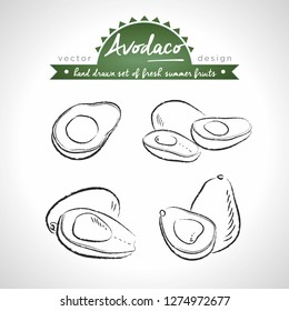 avocado Collection of fresh fruits with leaf. Vector illustration. Isolated	
