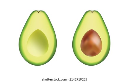 Avocado collection isolated on white. Vector illustration.