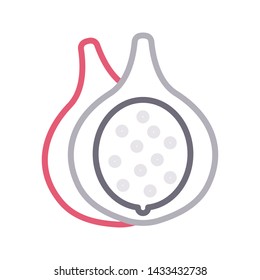 avocado color line vector icon