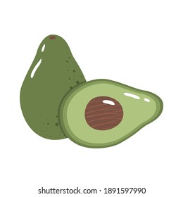 Avocado colorful vector illustration isolated on white background. Hand drawn style, cute doodle art. Agricultural concept. Fruits for gardening. Healthy diet.