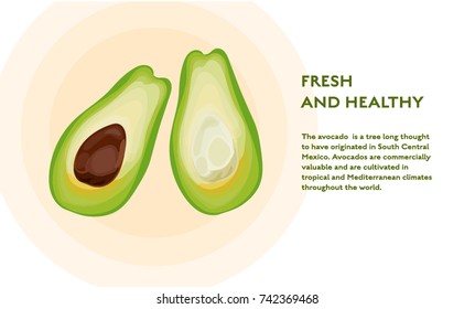 Avocado concept vector flat poster design. Illustration with place for text
