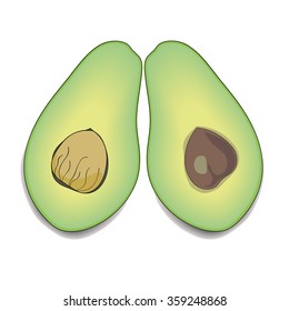 Avocado in the context vector.Avocado on a white background. Wallpaper for the kitchen.