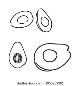 Avocado. Contour illustration. Exotic fruit in woodcut style. Isolated vector on white background.
