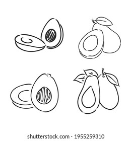 Avocado. Contour illustration. Exotic fruit in woodcut style. Isolated vector on white background.