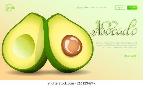 Avocado in cut. Fruits, healthy eating, dieting concept. Vector illustration for flyer, banner, website development.