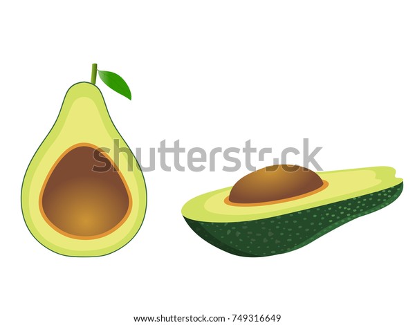 Avocado Cut Half Cartoon Vector Image Stock Vector Royalty Free