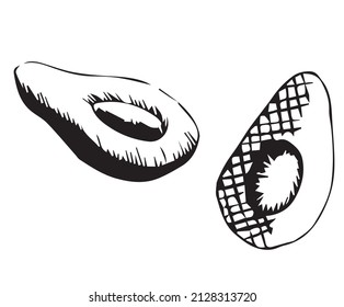 Avocado hat sich halbiert. Handzeichnung. Vektorgrafik einzeln auf weißem Hintergrund.