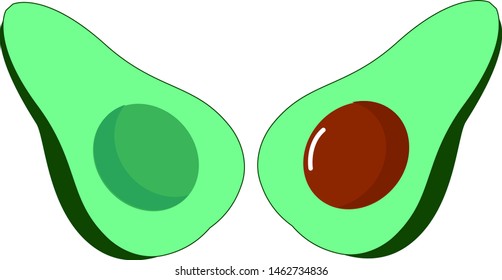 Avocado cut in half, illustration, vector on white background.