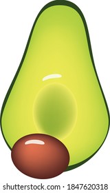 The avocado is cut in half and pitted. Vector illustration.