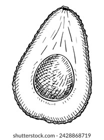 Avocado cut in half sketch. Vegetable fruit. Healthy food. Hand drawn vector illustration.