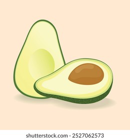 Avocado, cut in half slice. Avocado with seed and without. Tropical fruit. Vector illustration isolated on white background.