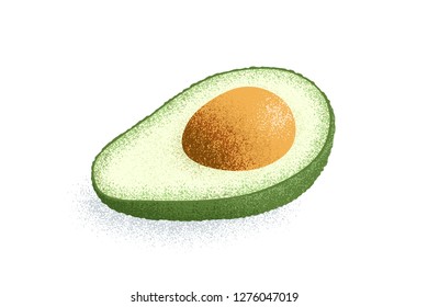 Avocado cut in half, vector illustration with grainy texture