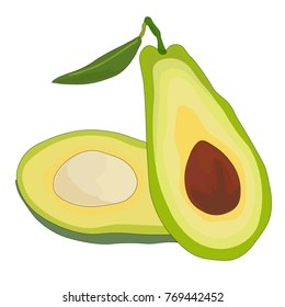 Avocado Cut In Half Vector Isolated On White Background. Avocado Fruit Vector Illustration.