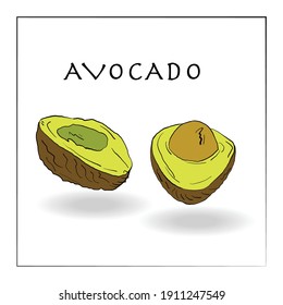 Avocado cut in half vector, sketch or doodle style