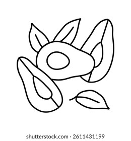 avocado cut peel green slice line icon vector. avocado cut peel green slice sign. isolated contour symbol black illustration
