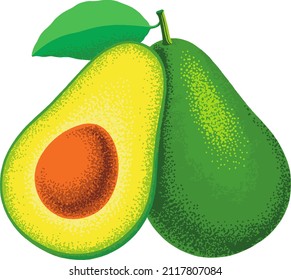 Avocado. Cut Avocado. Two Avocados. Illustration. Fruits and vegetables. print on a tote bag, poster, flyer, cards, mugs, diet charts.