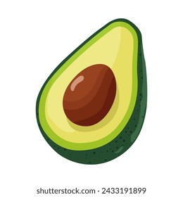 avocado cut in vector on white background
