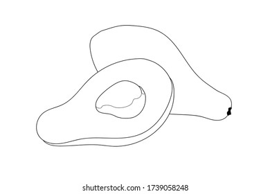 Avocado cutaway with bone. Outlines