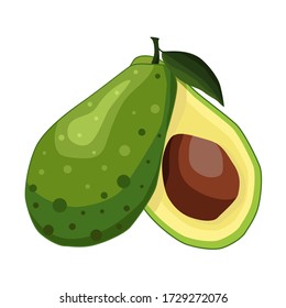 Avocado. Die dunkelgrüne Frucht des Baumes ist birnenförmig mit einem großen braunen Stein. Vector Illustration isoliert auf einem weißen Hintergrund für Design und Web.
