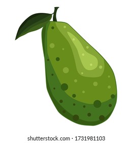Aguacate. El fruto verde oscuro del árbol tiene forma de pera y una gran piedra marrón. Ilustración vectorial aislada en un fondo blanco para el diseño y la web.