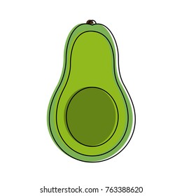 Avocado delicious vegetable