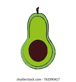 Avocado delicious vegetable