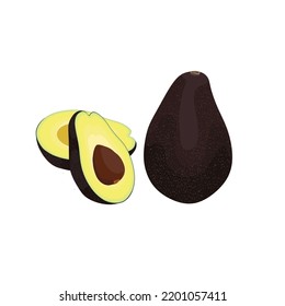Avocado design with black skin due to overripe. vector illustration