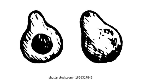Avocado-Doodle-Zeichnung. Vektorgrafik einzeln auf weißem Hintergrund. Handgezeichnet. Innere und äußere Seiten