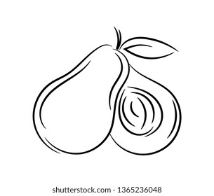 Avocado. Doodle, outline, hand drawn and freehand style