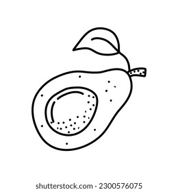 Avocado doodle outline icon. Logo organic fruit and vegetable isolated illustration.