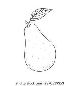 Avocado doodle outline icon. Logo organic fruit and vegetable isolated on white background