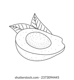 Avocado doodle outline icon. Logo organic fruit and vegetable isolated on white background