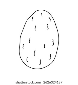 Avocado doodle outline icon. Logo organic fruit and vegetable isolated illustration.