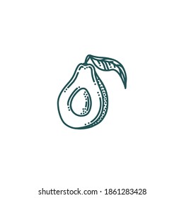 Avocado in doodle style. Half of avocado isolated in white background. Doodle vector illustration
