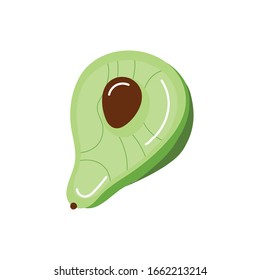 diseño vectorial tipo vectorial de frutas exóticas agudas