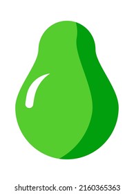 Avocado Exotic Fruit. Vector illustration
