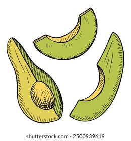Avocado flat. Vegetable. Healthly food. Slices, cut, half. Hand drawn vector illustration.