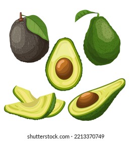 avocado food fresh set cartoon. organic green, slice vegetable, exotic ripe, raw cut, core fruit, half plant, tropical healthy, single natural avocado food fresh vector illustration