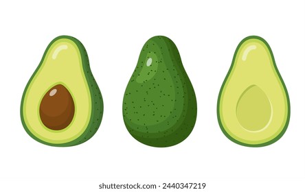 avocado food icon. Avocado fruit whole and half isolated on white background. Summer tropical fruits for healthy lifestyle. Vector illustration in flat style