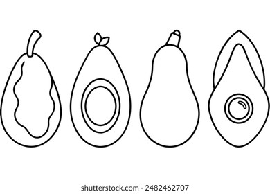 Avocado food line art presenting delicate fruit illustrations