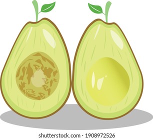 
avocado fresh fruit icon for children's book illustration