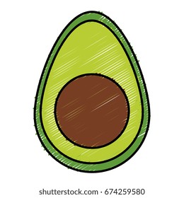 avocado fresh isolated icon