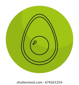 avocado fresh isolated icon