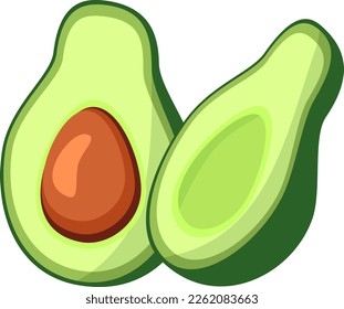 Avocado Fresh Organic Fruit Illustration 
