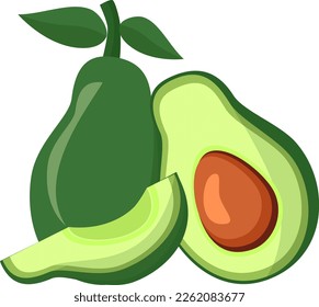 Avocado Fresh Organic Fruit Illustration 